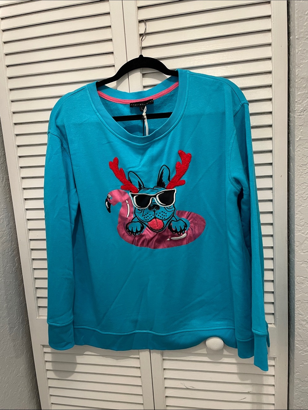 Jane and Delancey Turquoise Crewneck Sweatshirt with Frenchie Pink & Red Graphic